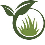 Scottsdale Landscaping Services