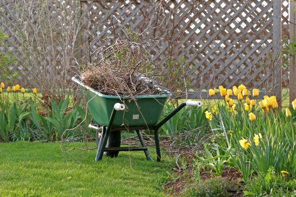 Flower Bed Cleanup Service in Scottsdale