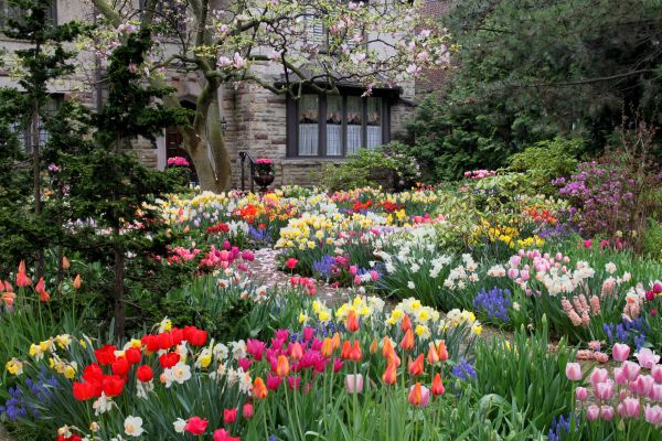 Garden Maintenance Service in Scottsdale