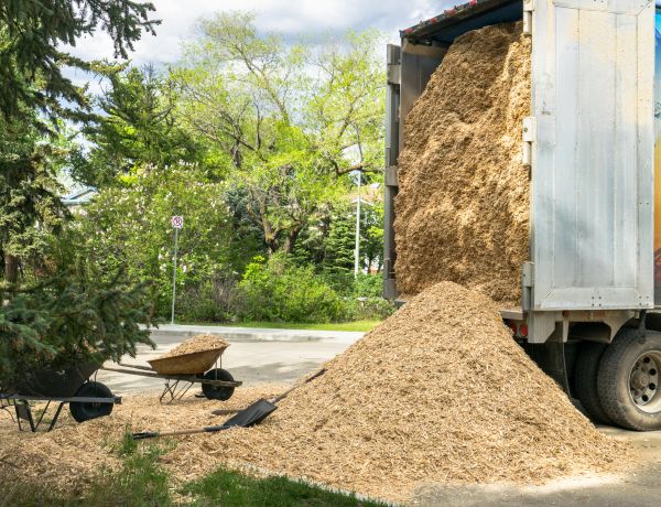 Wood Chips Delivery in Scottsdale