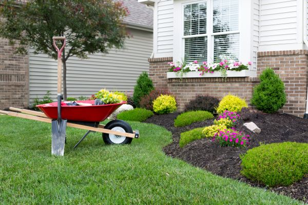 Landscape Maintenance Service in Scottsdale
