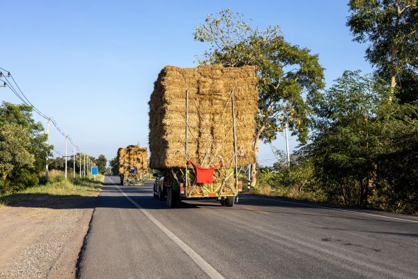 Pine Straw Delivery in Scottsdale