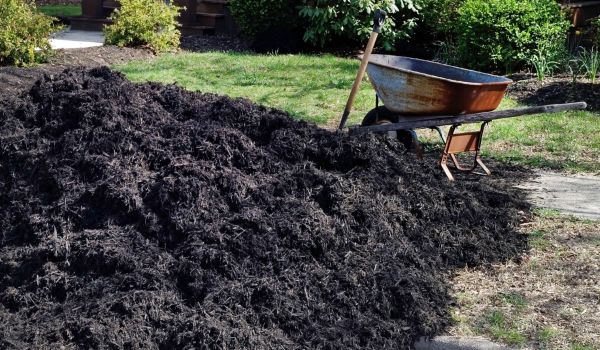 Black Mulch Delivery in Scottsdale