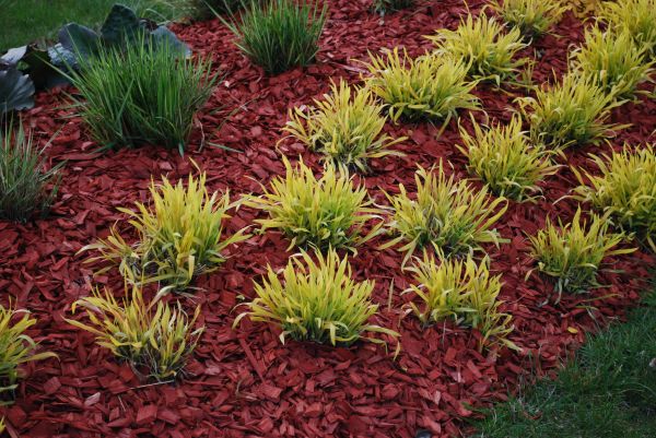 Mulch Landscaping in Scottsdale