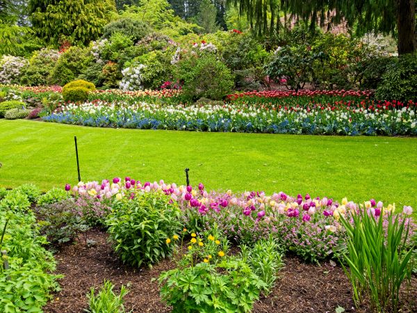 Residential Landscape Design in Scottsdale