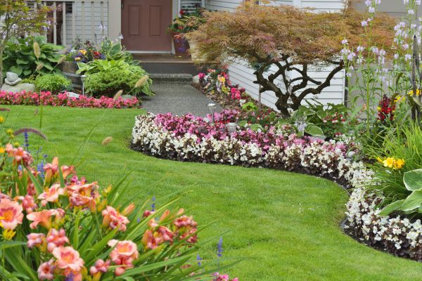 Perennial Landscaping in Scottsdale