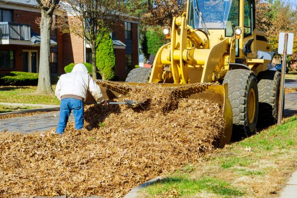 Mulch Hauling in Scottsdale