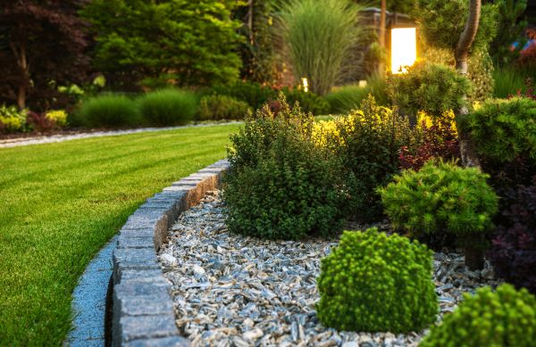 Landscaping Service in Scottsdale