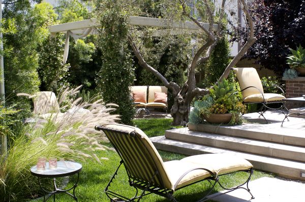 Backyard Improvement