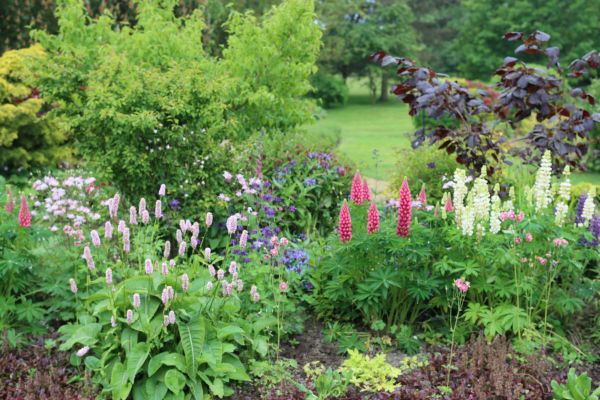 Flower Bed Planting in Scottsdale