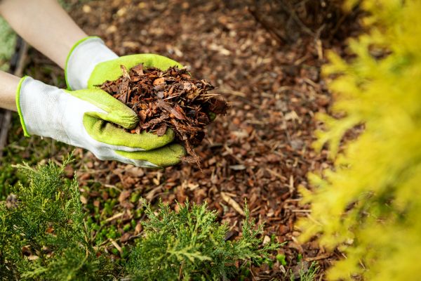 Garden Mulch Delivery in Scottsdale