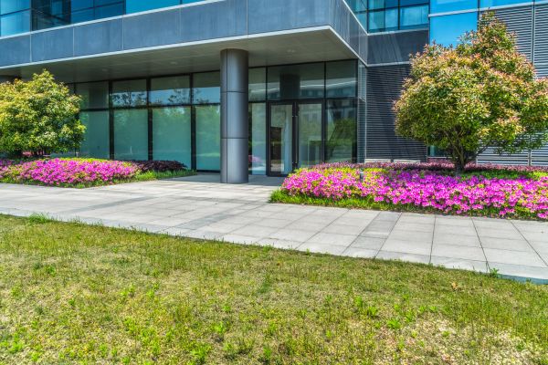 Office Landscaping Design in Scottsdale