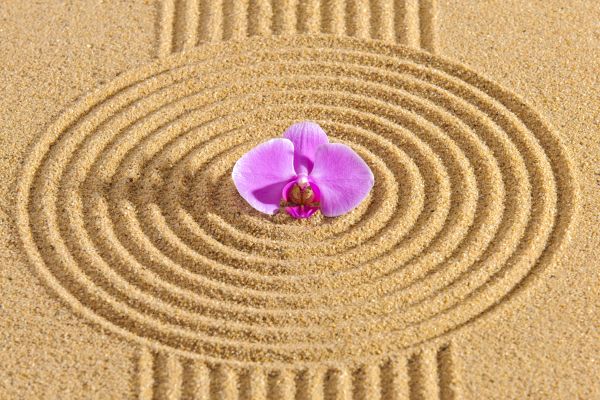 Sand Garden Landscaping in Scottsdale