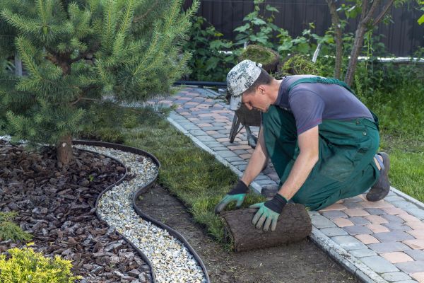 Landscaping Modification in Scottsdale