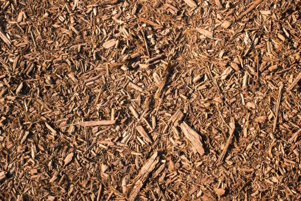 Wood Chips Removal in Scottsdale