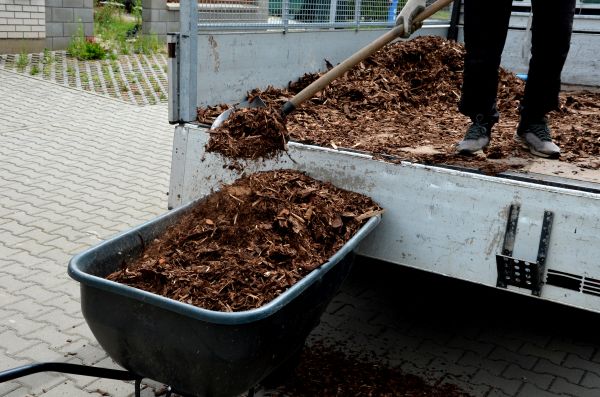 Cedar Mulch Delivery in Scottsdale