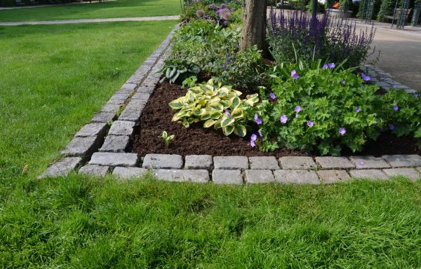 Flower Bed Mulching in Scottsdale