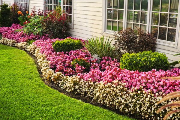 House Landscaping in Scottsdale