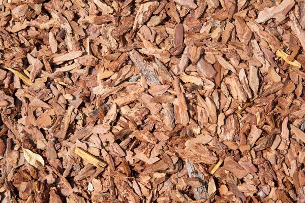 Pine Mulch Spreading in Scottsdale