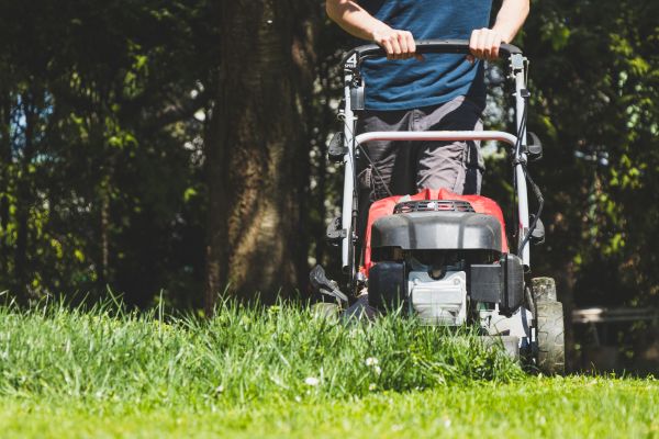 Garden Trimming Service in Scottsdale