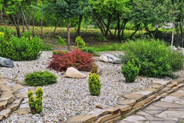 Hardscape Landscaping in Scottsdale