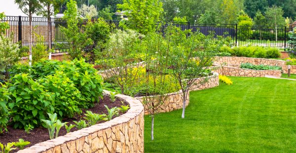 Yard Makeover Service in Scottsdale