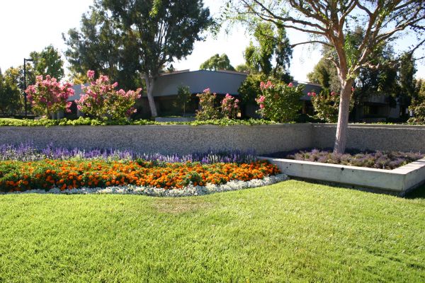 Commercial Landscape Service in Scottsdale