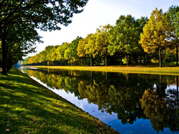 Bank Landscaping in Scottsdale