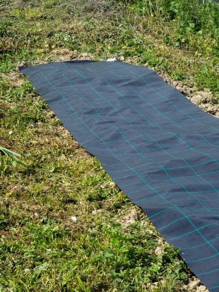 Weed Suppressant Installation in Scottsdale