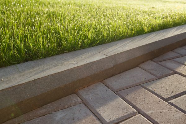 Lawn Edging Replacement in Scottsdale