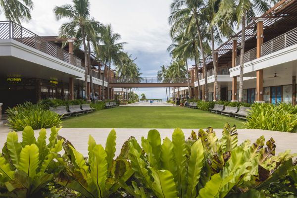 Commercial Lawn Renovation in Scottsdale