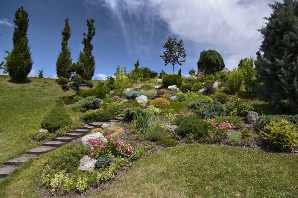 Steep Terrain Landscaping in Scottsdale