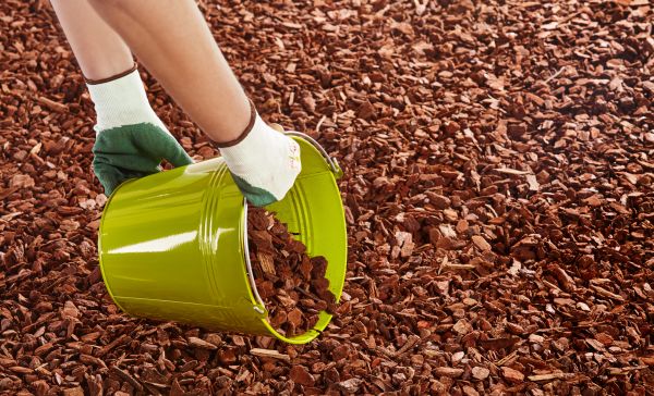 Wood Chip Landscaping in Scottsdale