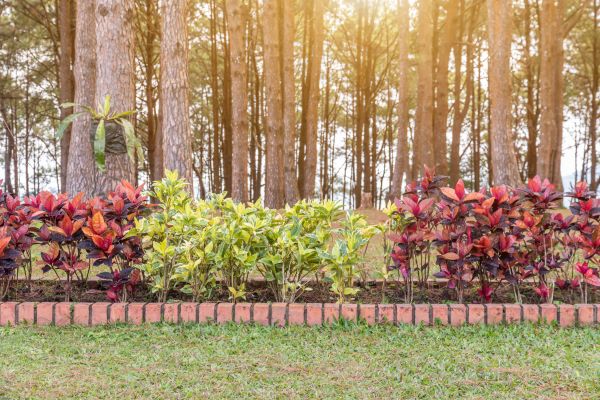 Small Garden Landscaping in Scottsdale