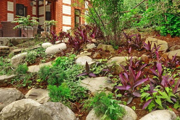 Rock Garden Landscaping in Scottsdale