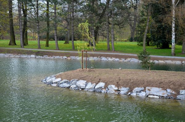 Pond Landscaping Service in Scottsdale