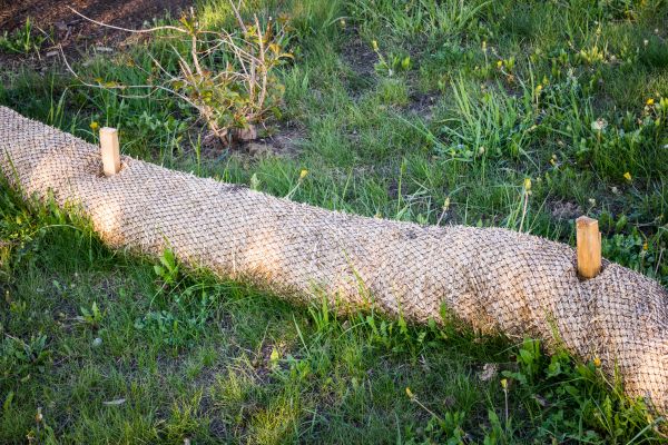 Wattle Installation in Scottsdale