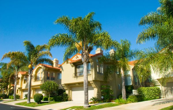 Homeowners Landscaping