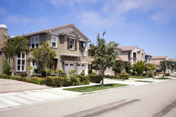 Neighborhood Landscaping in Scottsdale