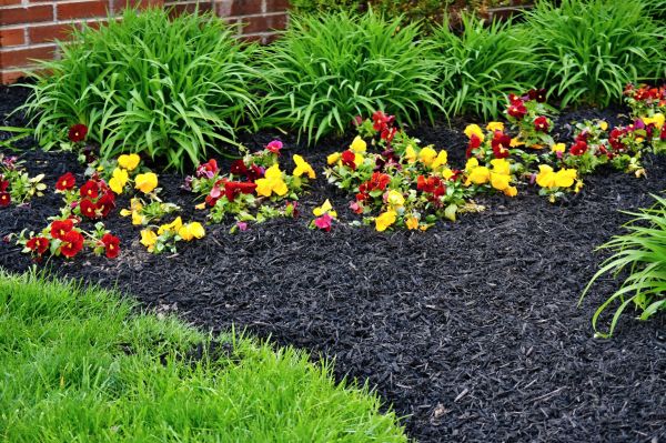 Apartment Mulching in Scottsdale