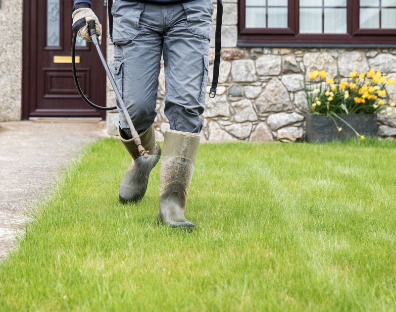 Backyard Landscaping Service