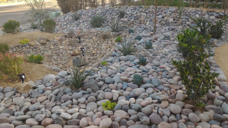 Elegant Xeriscape Designs