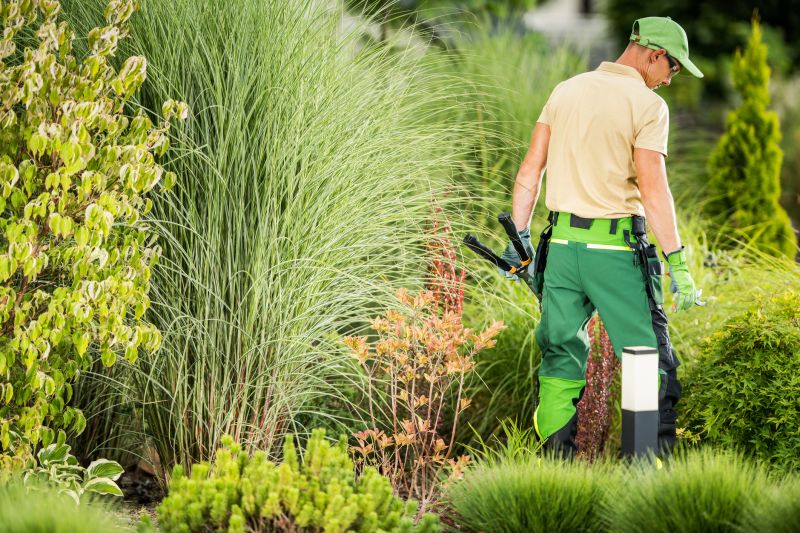 Landscape Renovation Services